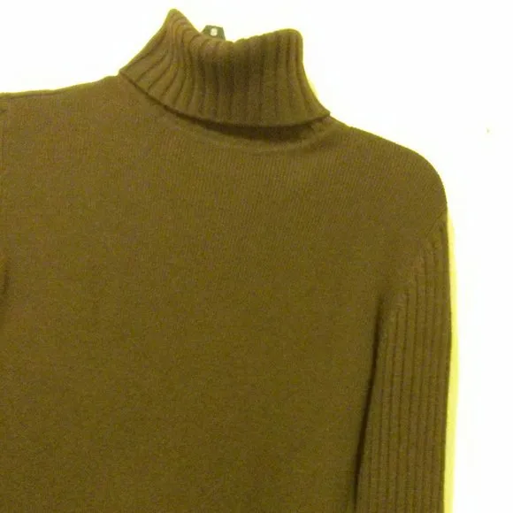 Brown Silk/Cashmere Blend Knit Turtleneck Dress