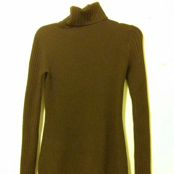 Brown Silk/Cashmere Blend Knit Turtleneck Dress