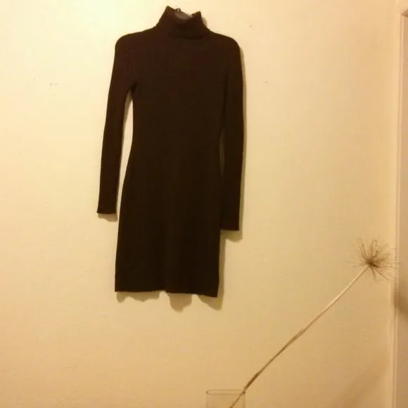 Brown Silk/Cashmere Blend Knit Turtleneck Dress