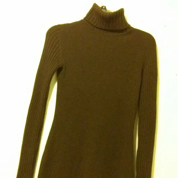Brown Silk/Cashmere Blend Knit Turtleneck Dress