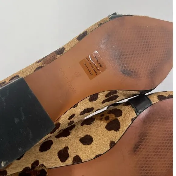 Cole Haan Leopard Gold Buckle Pony Hair Point-Toe Flats Size 6.5