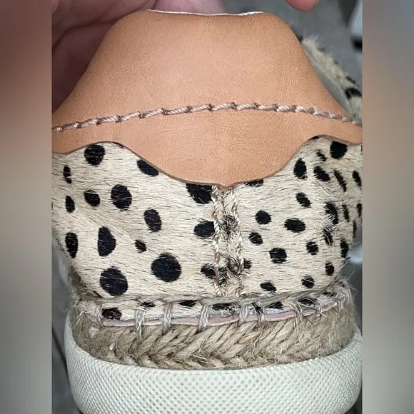 Dolce Vita Size 8.5 Women’s Madox Calf Hair Leopard-Print Sneakers •Low Top EGUC