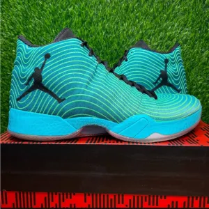 Nike Air Jordan 29 XX9 Easter Green