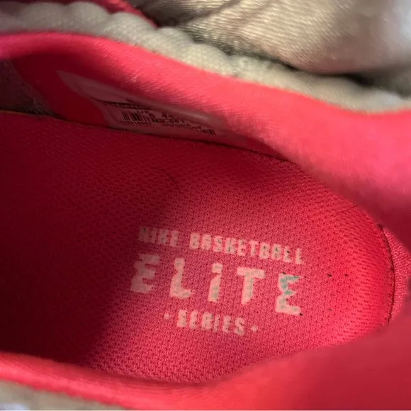 Nike LeBron 9 IX P.S. Elite South Beach Grey Pink Teal