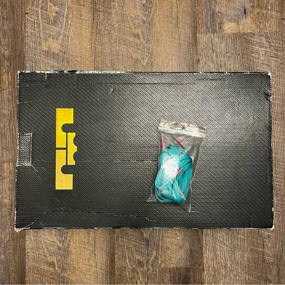 Nike LeBron 9 IX P.S. Elite South Beach Grey Pink Teal