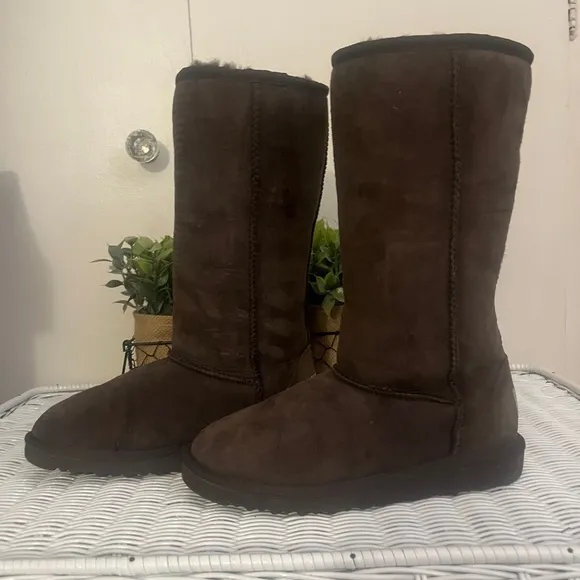 🌺NWOB UGG Classic Tall Suede Boots