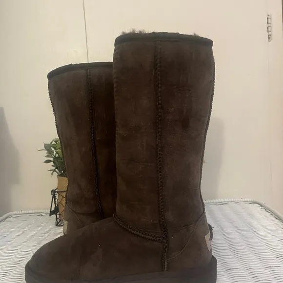 🌺NWOB UGG Classic Tall Suede Boots