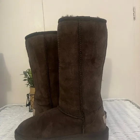🌺NWOB UGG Classic Tall Suede Boots