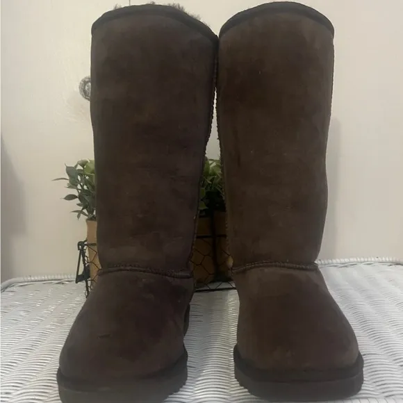 🌺NWOB UGG Classic Tall Suede Boots