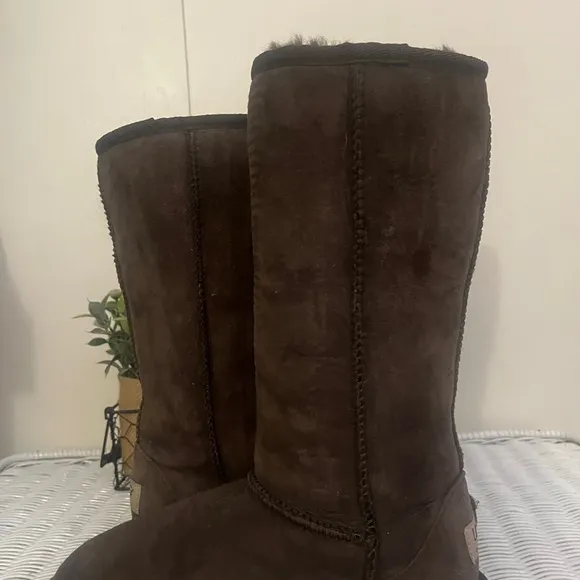 🌺NWOB UGG Classic Tall Suede Boots