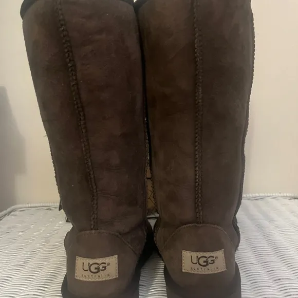 🌺NWOB UGG Classic Tall Suede Boots