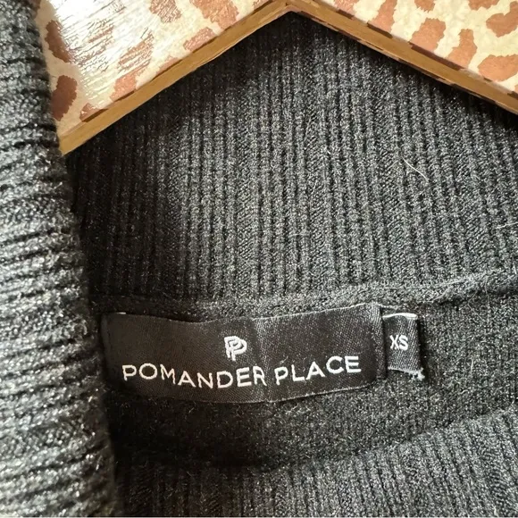 Pomander Place Viviane Shimmer 3/4 Sleeve Turtleneck Mini Dress Black XS