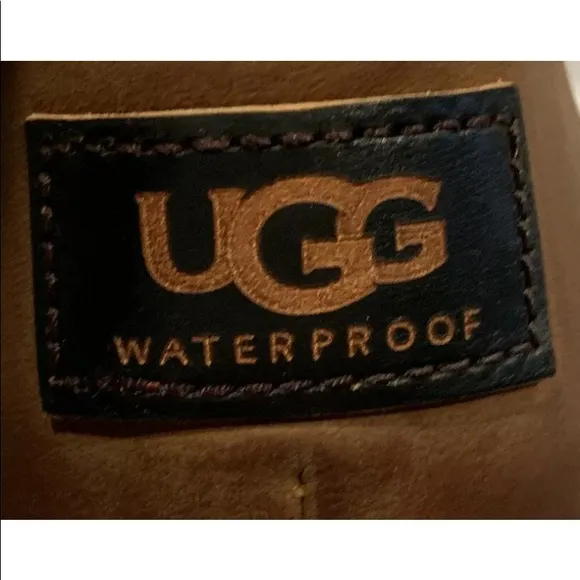 UGG AZARIA WOMEN ANKLE BOOTS WATERPROOF CHESTNUT Sz 11 NWB.